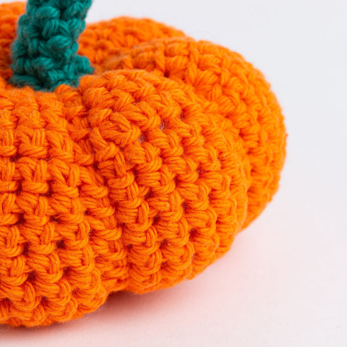 My Pocket Pumpkin Crochet Kit - Wool Couture