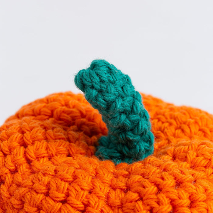 My Pocket Pumpkin Crochet Kit - Wool Couture